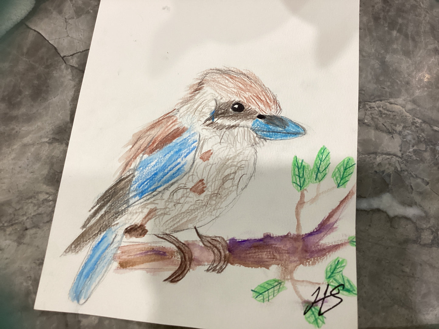 I￼ saw a bird then I painted a kookaburra .￼